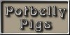Pot Belly Pigs and Info