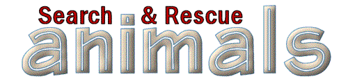 Animal search and rescue header