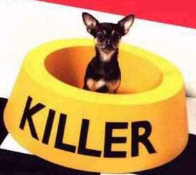 Killer Dog