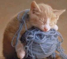 Kitten Yarn